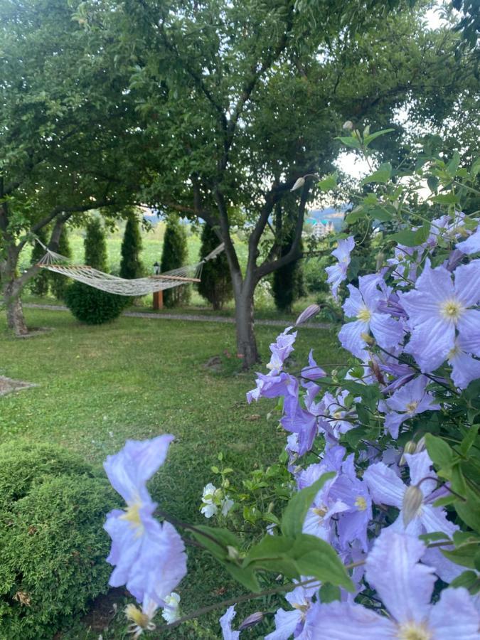 Blue Village Lux Kolašin Kültér fotó
